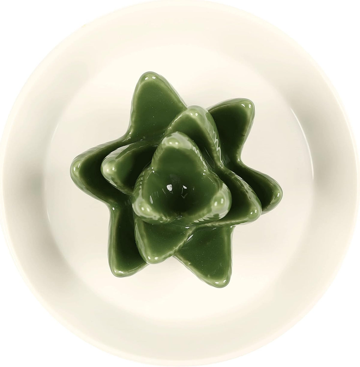 Ceramic Aloe Ring Holder,Cactus Dish Dish for Jewelry,Christmas Birthday Gifts for Women